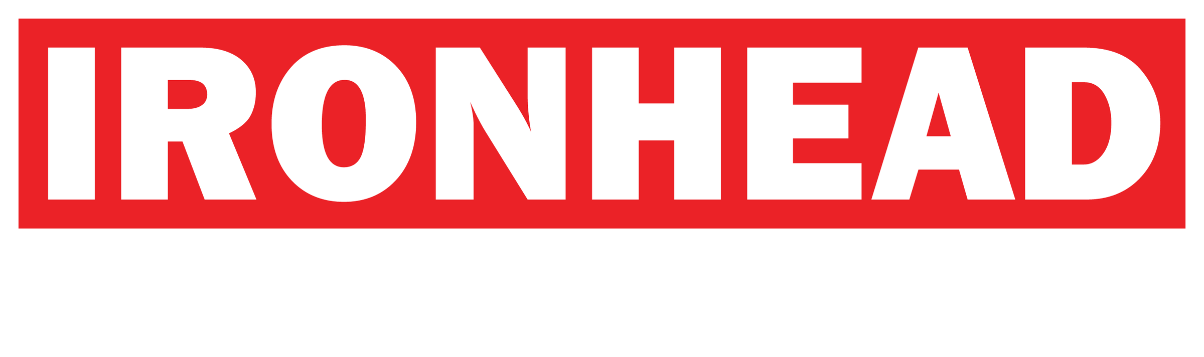 パスヘッドFinal Conflict 2枚組レコード Ironhead Records LLC